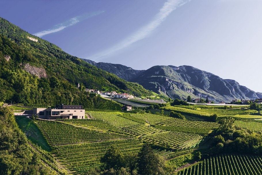 Tenuta Pfitscher Montagna Alto Adige