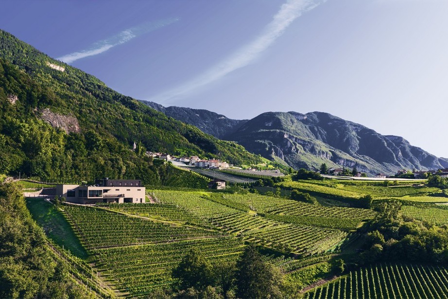 Weingut Pfitscher Montan Südtirol