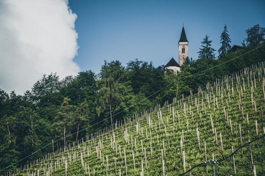 Weinberg mit Kirche in Völs