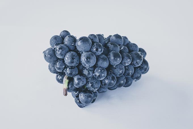 Bunch of grapes gray