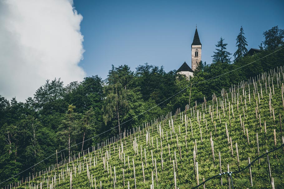 Vineyard and church in South Tyrol